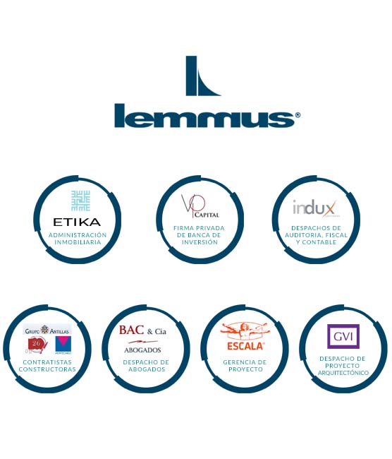 Estructura Organizacional